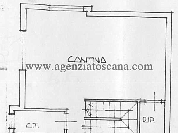 Two-family Villa for rent, Forte Dei Marmi - Vaiana -  30