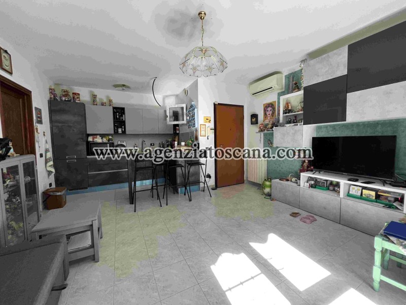 Appartamento in vendita, Seravezza - Querceta -  0