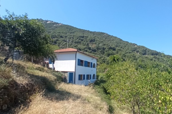 Einfamilienhaus Zu Kaufen In M