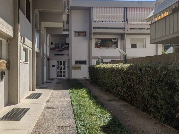 Riferimento D4VANIMONTE - Appartamento in Vendita a Grosseto