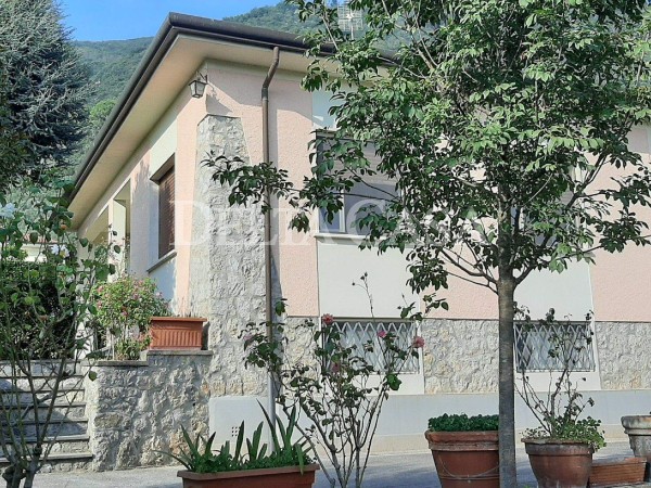 Reference CA2461VU - Villa Singola for Vendita in Camaiore