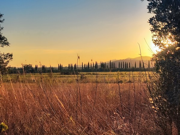 Terreno agricolo in loc. Strad