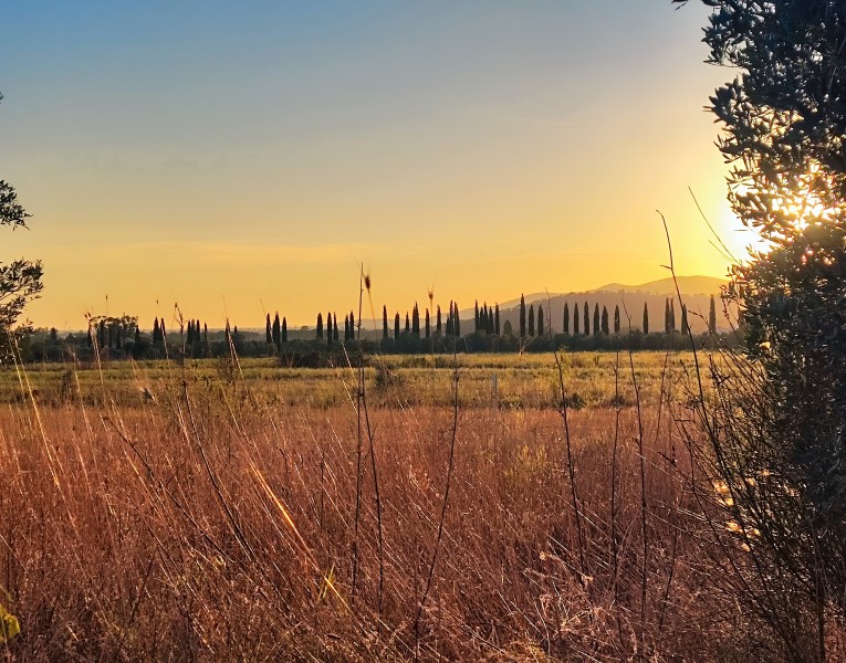 Terreno agricolo in loc. Strad