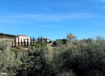 Terreno agricolo valle