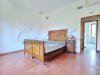 559 - foto 36