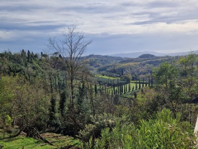 Appartamento In Vendita, Terricciola - Soiana - Riferimento: 906-foto9