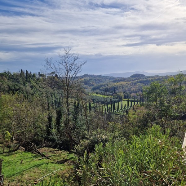 Appartamento In Vendita, Terricciola - Soiana - Riferimento: 906