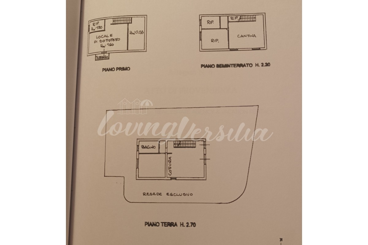 Agenzia Immobiliare LovingVersilia di Francesca Di Stefano - Planimetria 1