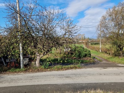 Casolare In Vendita, Terricciola - Chientina - Riferimento: 910-foto12