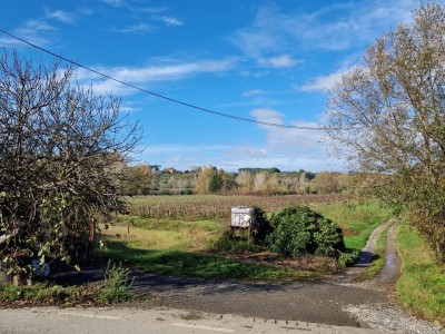 Casolare In Vendita, Terricciola - Chientina - Riferimento: 910-foto11