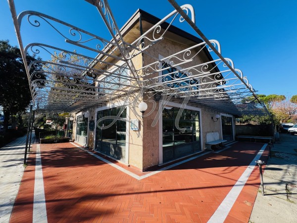 Locale Commerciale in vendita, Forte dei Marmi, Vittoria Apuana 