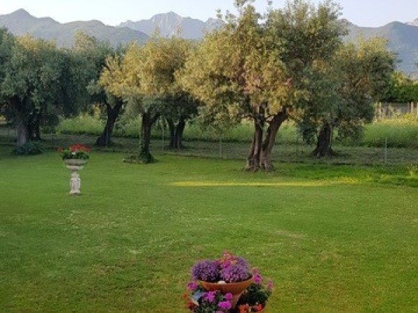 Riferimento SA0023 - detached house in Летняя аренда in Forte Dei Marmi - Vaiana