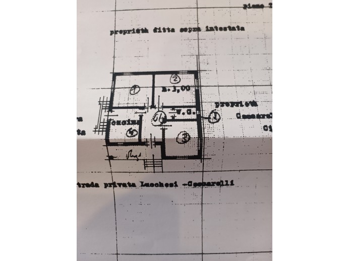 Agenzia Immobiliare Pegasus - Planimetria 1