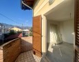 Pegasus - 