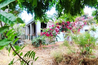 Casa indipendente con terreno