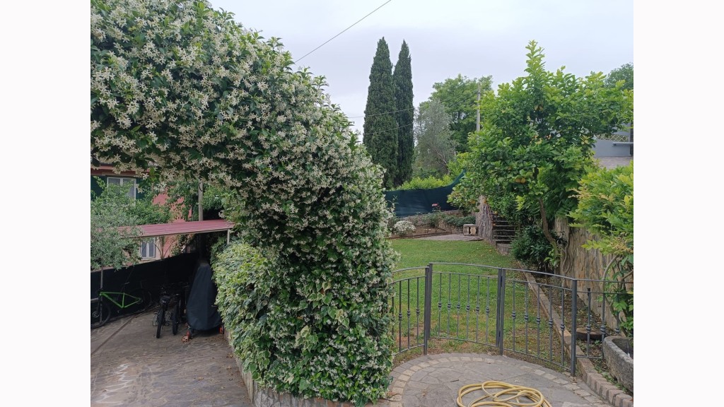 Villa Singolain Vendita, Sant'elia Fiumerapido - Riferimento: v5