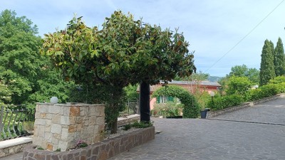 Villa Singolain Vendita, Sant'elia Fiumerapido - Riferimento: v5