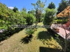 Villa for rent, Forte Dei Marmi - Vittoria Apuana -  8
