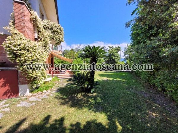 Villa in affitto, Forte Dei Marmi - Vittoria Apuana -  5