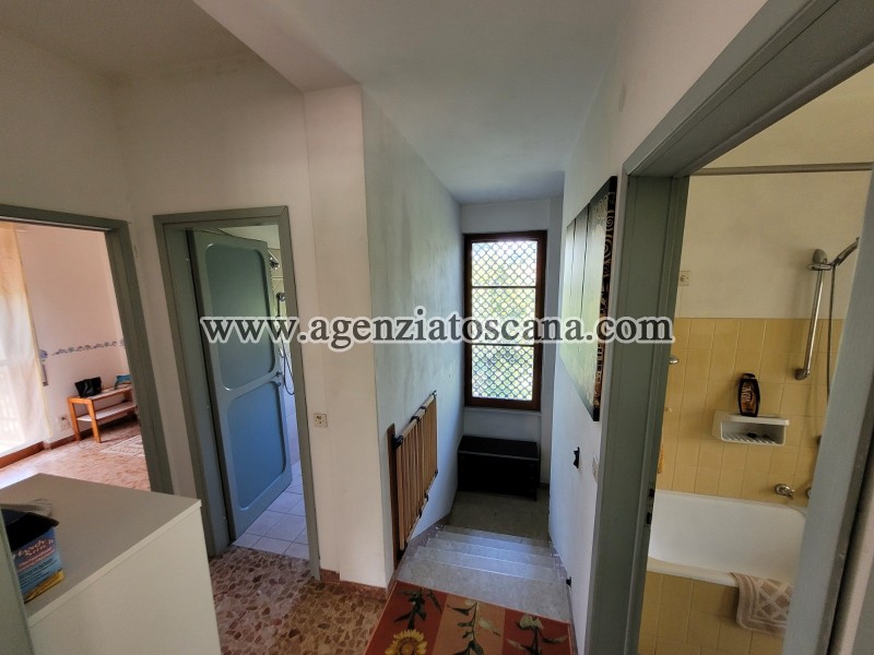 Villa for rent, Forte Dei Marmi - Vittoria Apuana -  14