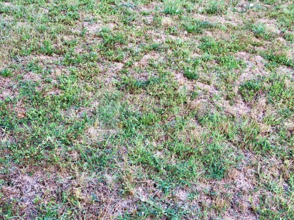 v144 appartamento sovicille ee54e