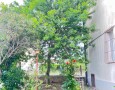 Elle Immobiliare - 