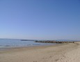 Elle Immobiliare - 