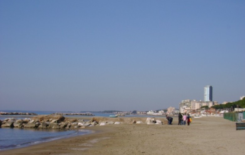 Elle Immobiliare - 