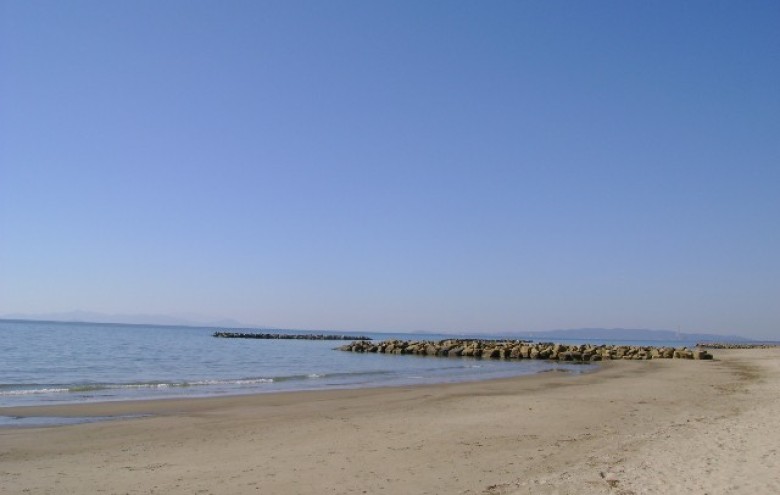 Elle Immobiliare - 
