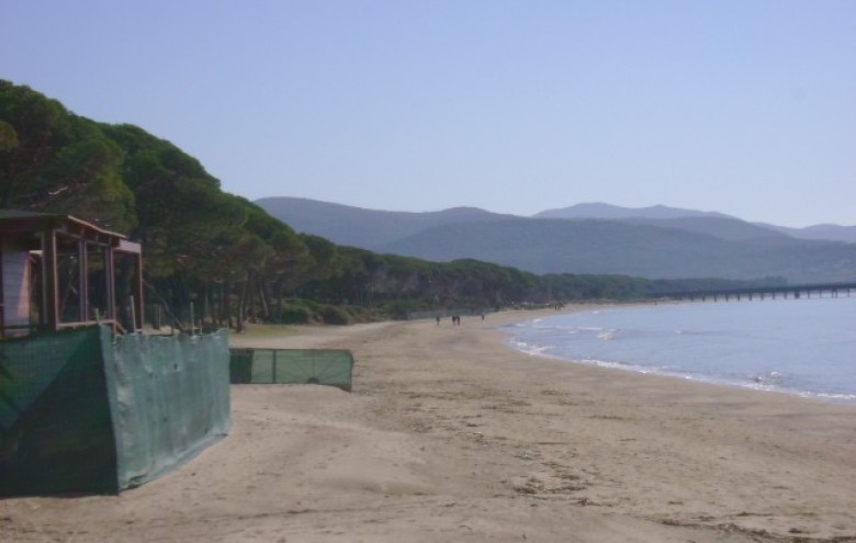 Elle Immobiliare - 
