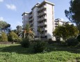 Elle Immobiliare - 