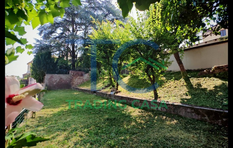 Immagine 66 