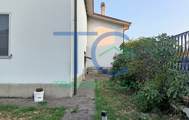 Immagine 7 