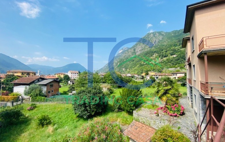 Immagine 32 