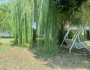 Appartamento ristrutturato con