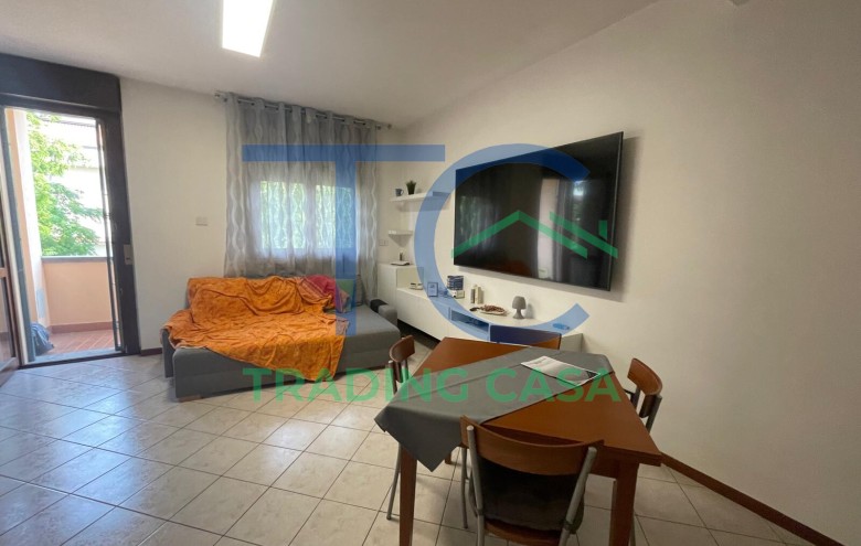 Immagine 2 