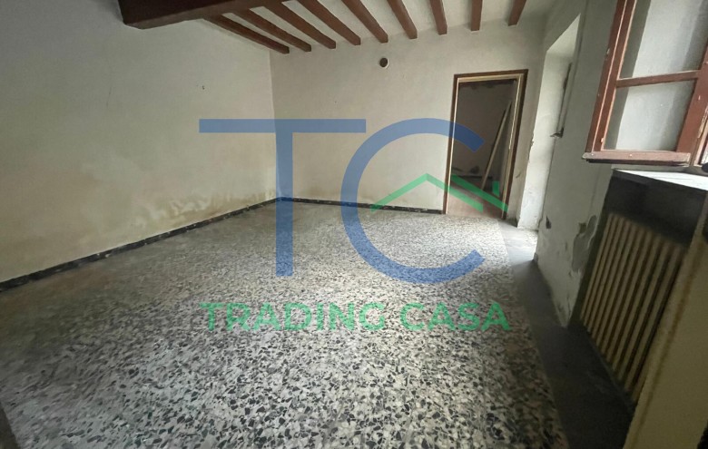 Immagine 12 