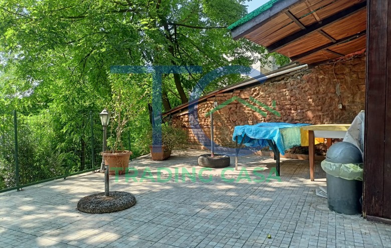 Immagine 61 