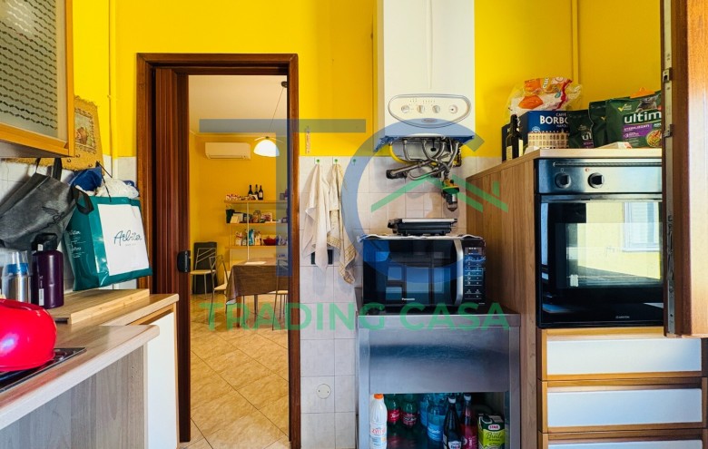 Immagine 14 