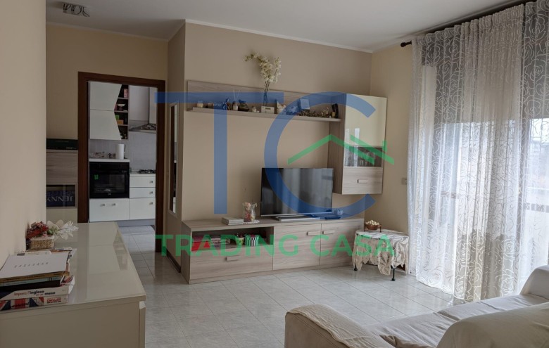 Immagine 11 