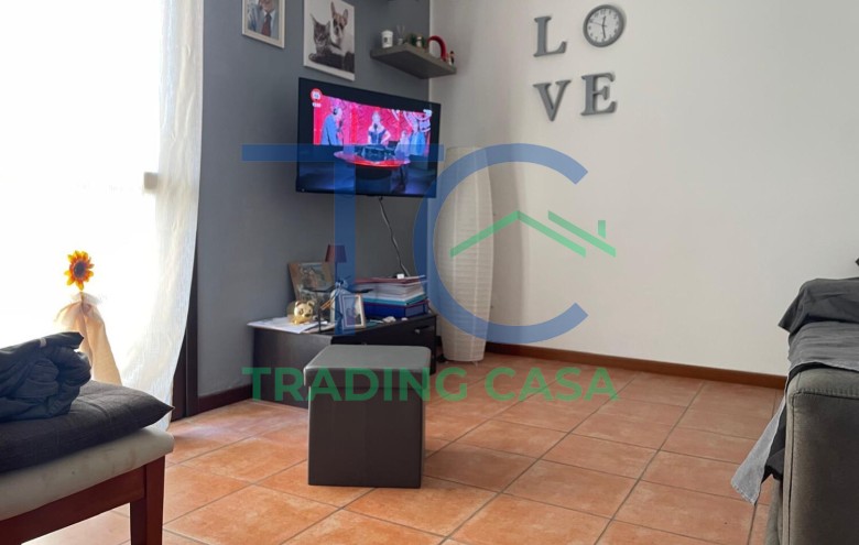 Immagine 4 
