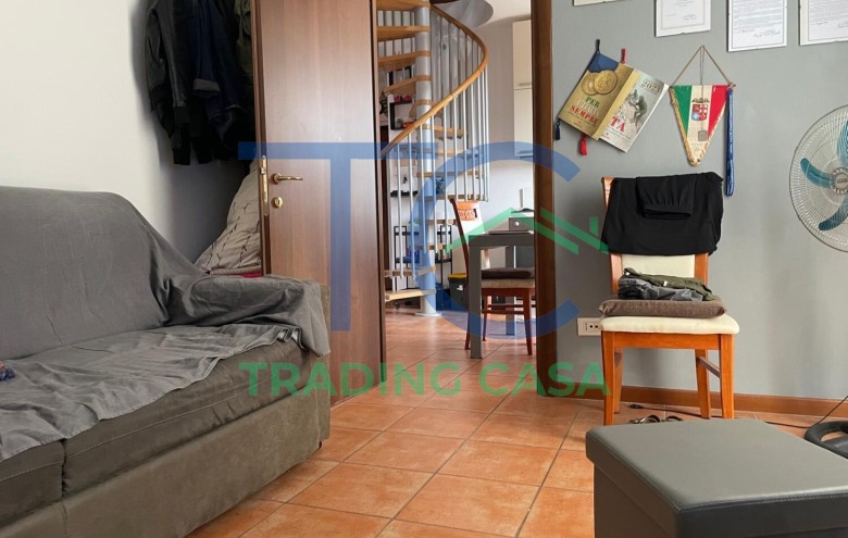 Immagine 2 