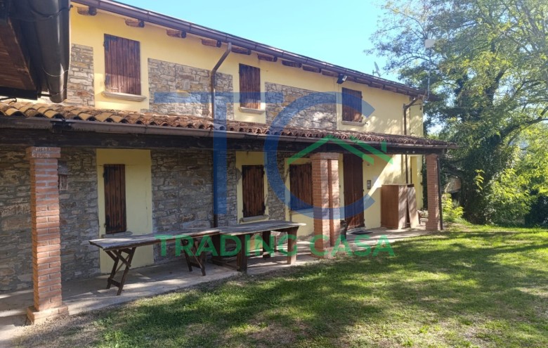 Immagine 41 