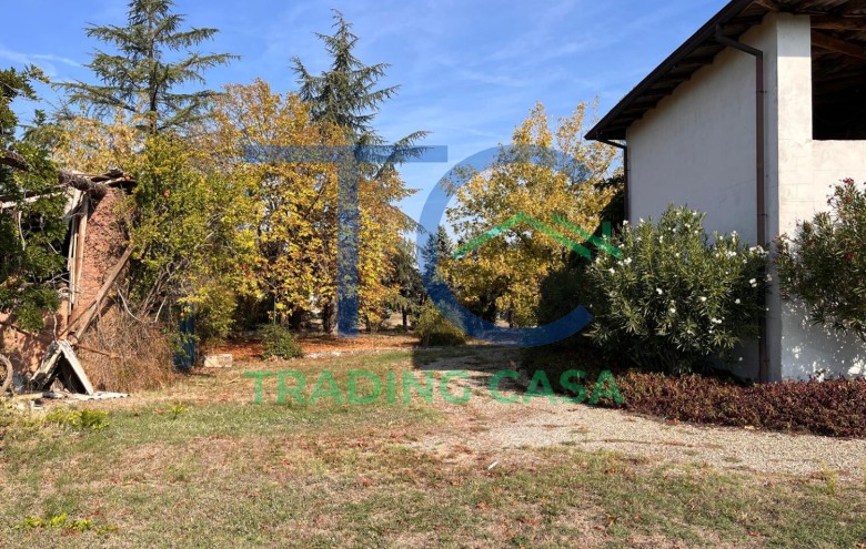 Immagine 3 