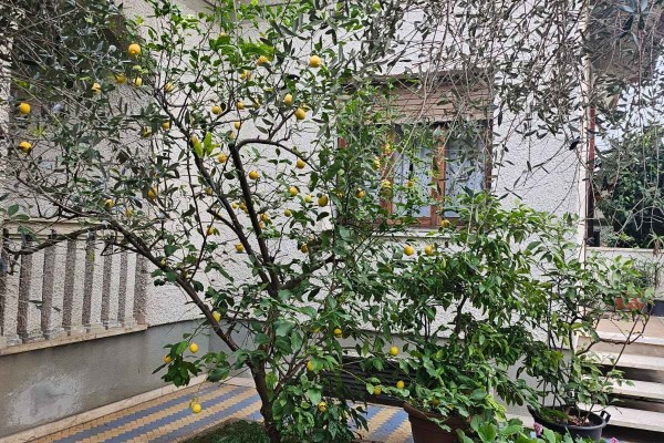 Villa In Vendita A Pietrasanta