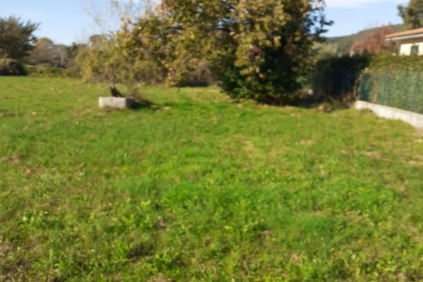 Terreno Edificabile In Vendita