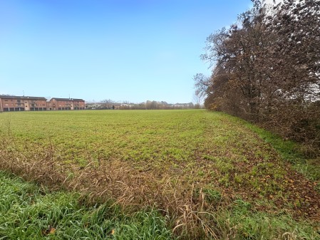 Terreno agricolo a san giacomo