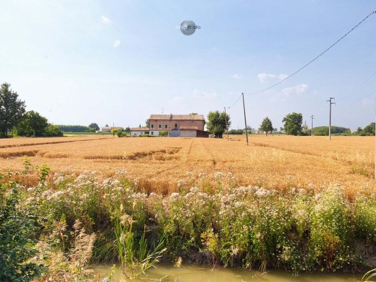 Terreno agricolo
