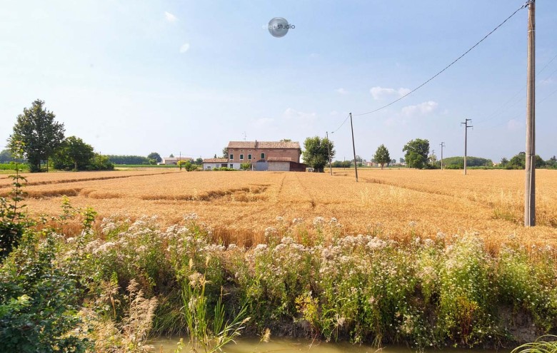 Foto per video T10