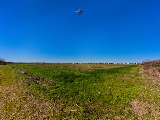 Terreno agricolo  in ottima zo